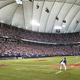 Illustration for article titled Metrodome Memories Are A Little Pathetic